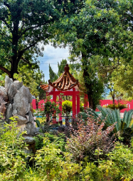 校园风采