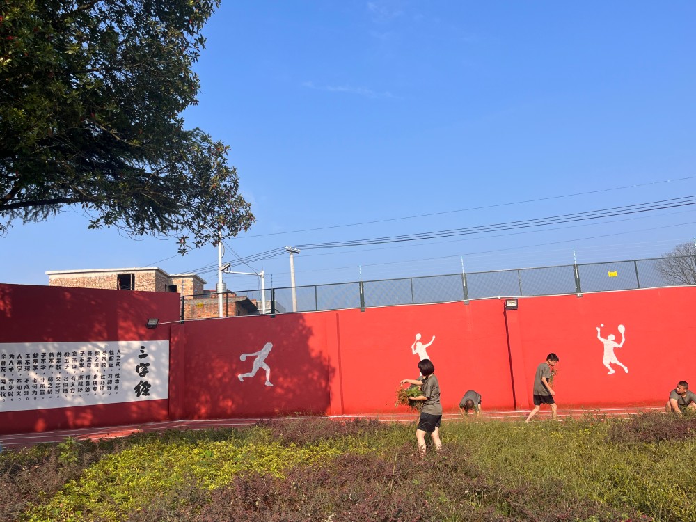 实践 (1).jpg